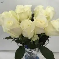 Proud Flowers