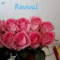 Revival Flowers