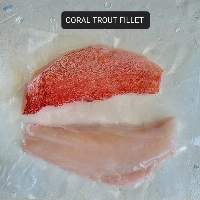 Seafood Fresh & Frozen