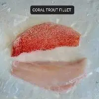 Seafood Fresh & Frozen