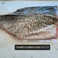 Seafood Fresh & Frozen