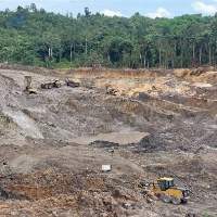 Steam Coal