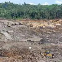 Steam Coal