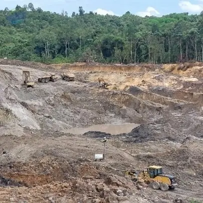 Steam Coal