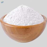 Desiccated Coconut Fine Reduced Fat 55%