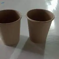 Virgin PE Coated Kraft Paper Cup