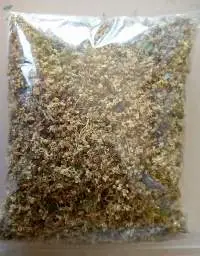 Herbs
