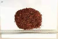 Rosehip Fruit, Seed, Husk, Fine Cuts And Mix