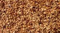 Rosehip seeds