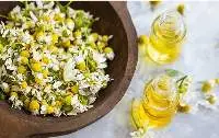 Chamomile 1 st grade ( only flower)