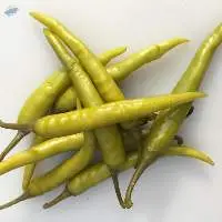 Green Chilly