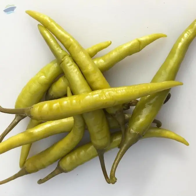 Green Chilly