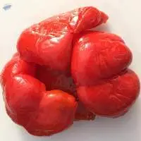Red Bell Pepper