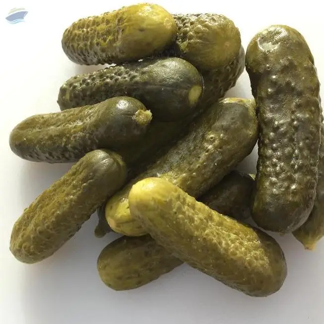 Gherkins in Brine