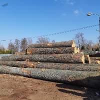 Wood Log Beech And Oak