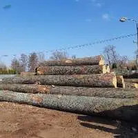 Wood Log Beech And Oak