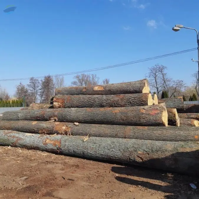 Wood Log Beech And Oak