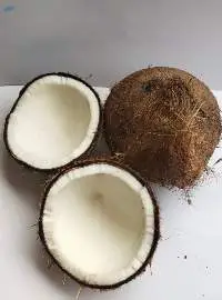 De-Husked Coconut