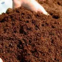 Coconut Peat