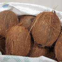 Semi Husked Coconut