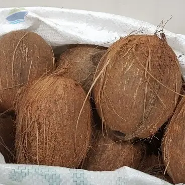 Semi Husked Coconut