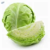 Cabbage