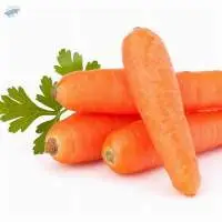 Carrot