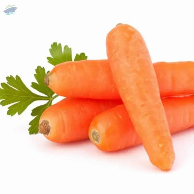 Carrot