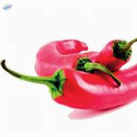 CHILI