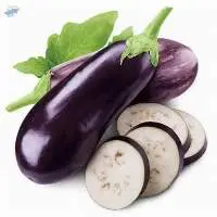 Eggplant
