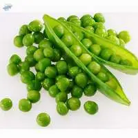 Green Sweet Peas