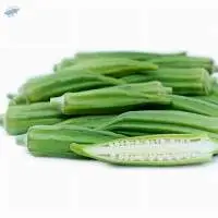 Okra