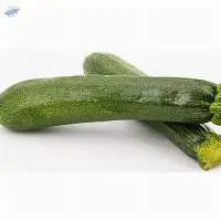 Zucchini