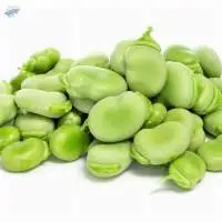 Broad Beans (FOUL)