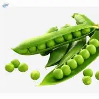 Green Peas