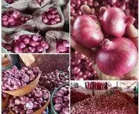 Fresh Vegetable