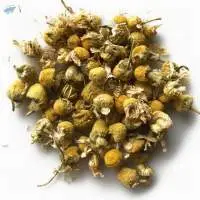 Dried & Fresh Flowers