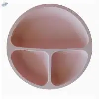 Ready Stock Unisex Baby Silicone Plate 6-36M