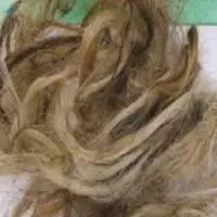 Cow Horn / Cattle Tail Hair
