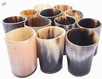 Cow Horn, Polished For Whisky