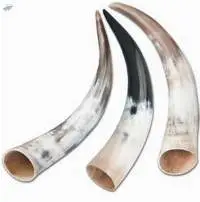 Cow Horn / Drinking Horns