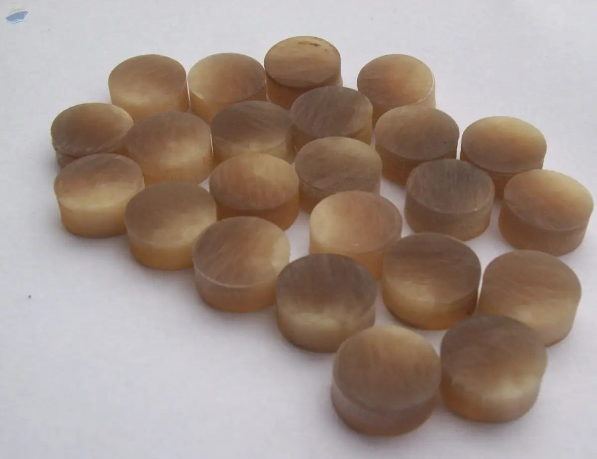 Cow Horn Button Blank