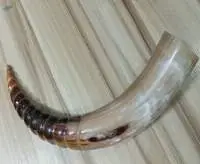 Cow Horn / Carved Drinking Horn