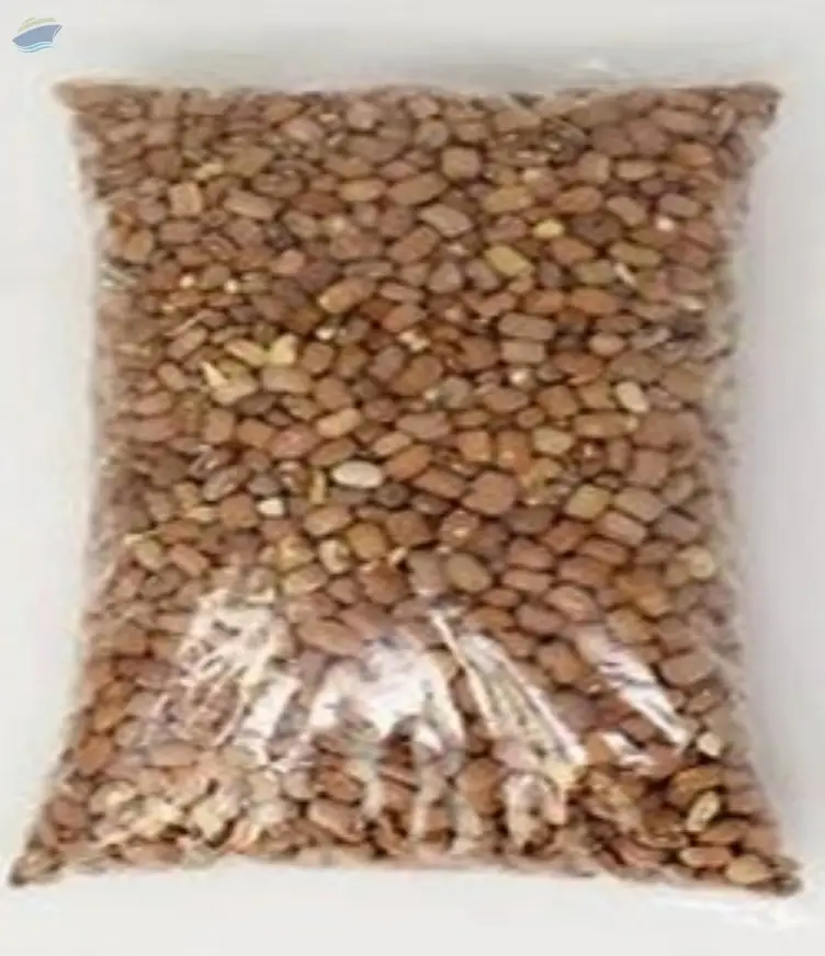 Beans (brown / White)