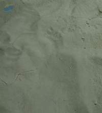 Zeolite Powder