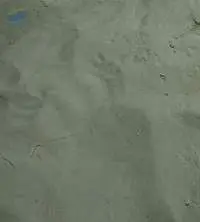 Zeolite Powder