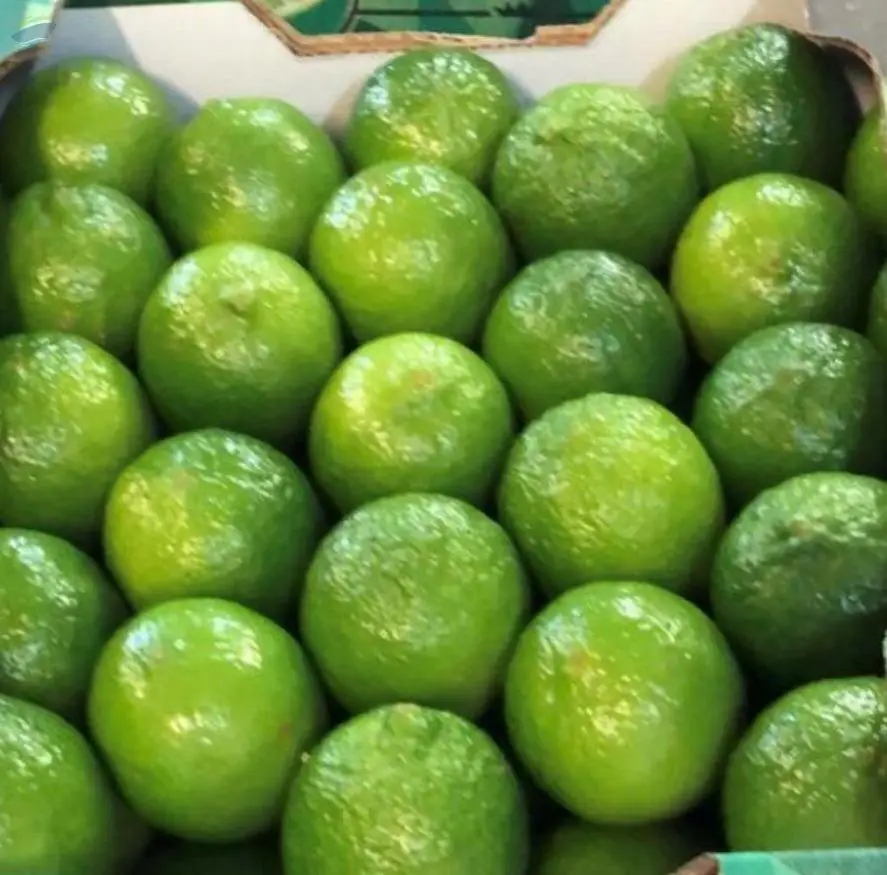 Lemon Tahiti
