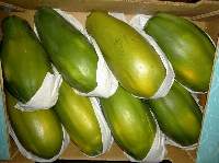 Papaya 
