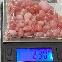 Conch Pearls