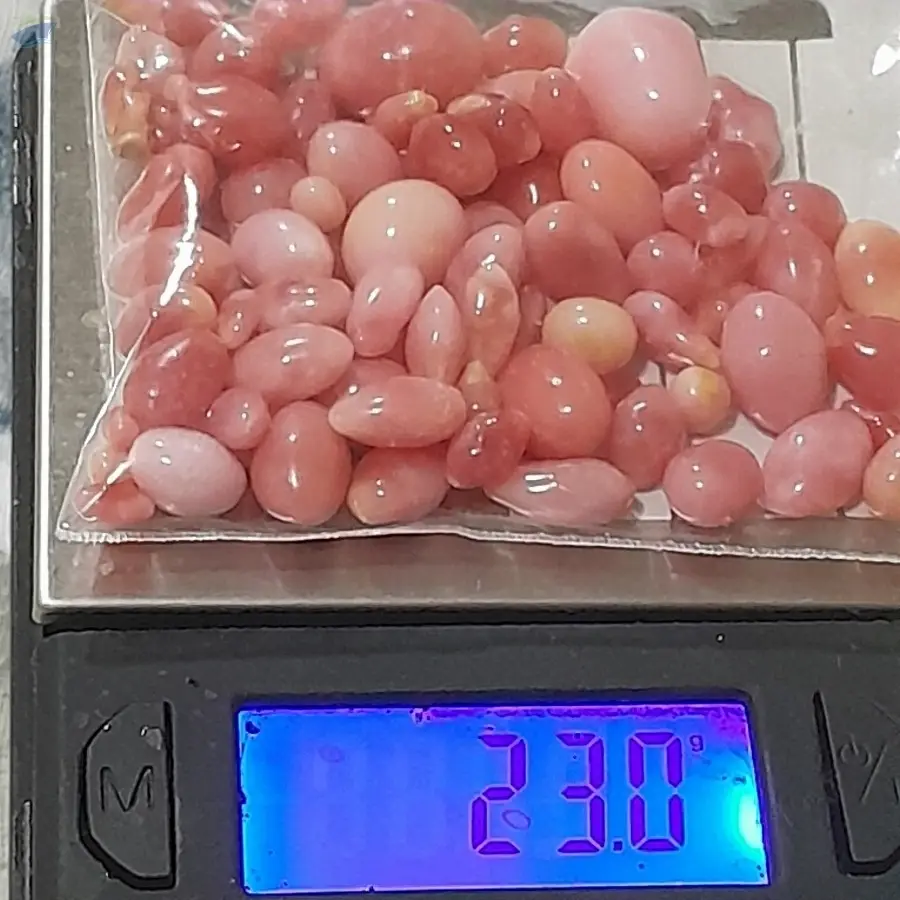 Conch Pearls